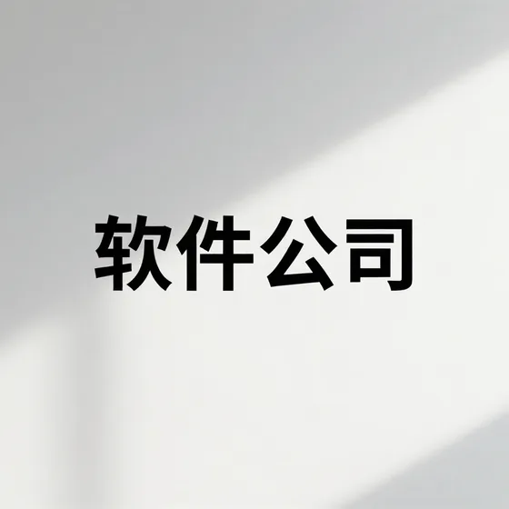 软件公司
